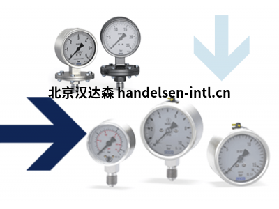 riegler止回阀和电流阀产品介绍