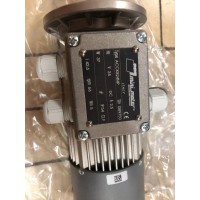 意大利Mini Motor单相异步电机AM-330M4用于饮料行业使用