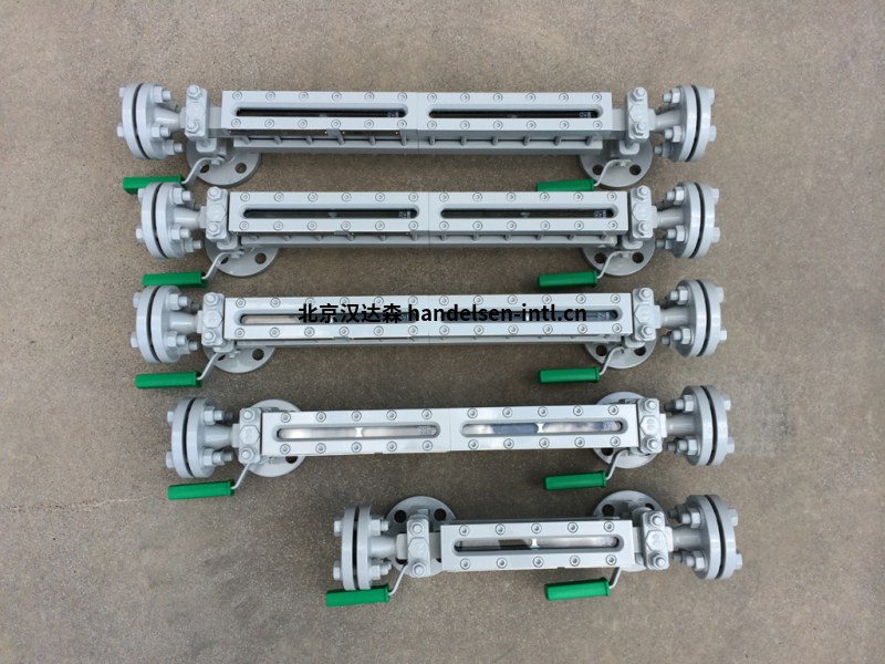 DS DIESSE 反射式液位计(PN40) DS DIESSE 反射式液位计(PN40)