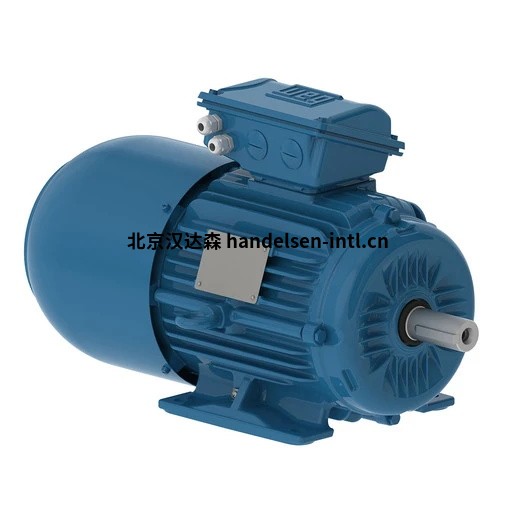 EU_MT_LV_IEC_3PHASE_TEFC_W22BRAKE_IE3_515Wx515H_看图王