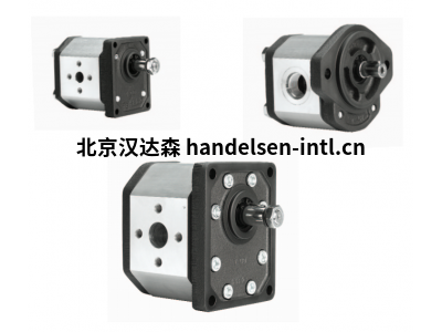 Marzocchi Pompe GHP系列齿轮泵