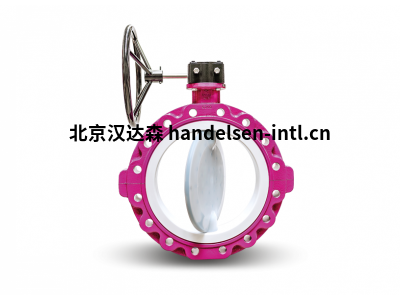 Warex Valve PTFE 衬里蝶阀