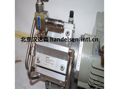 hyco真空泵 RPT203/PUMP 真空泵