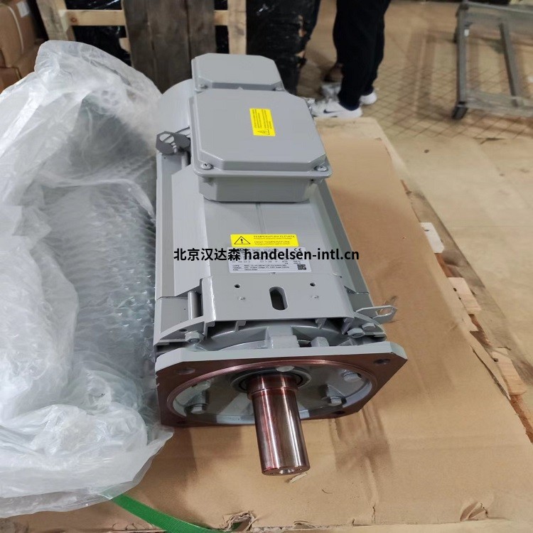 意大利OEMER 变频电机实物照片