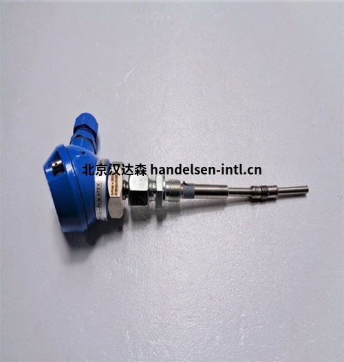 Dittmer 温度传感器探头-2