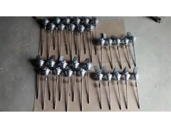 Dittmer   2xPT100 Ohm DIN cl. A 3 线制： 高精度热电阻探头工作原理与设计