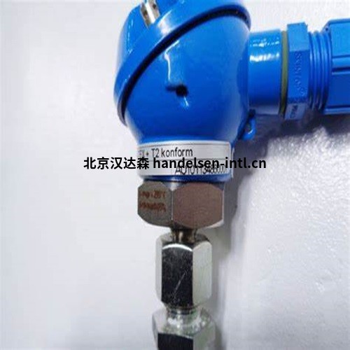 Dittmer 温度传感器探头-3